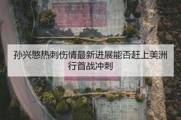 孙兴慜热刺伤情最新进展能否赶上美洲行首战冲刺